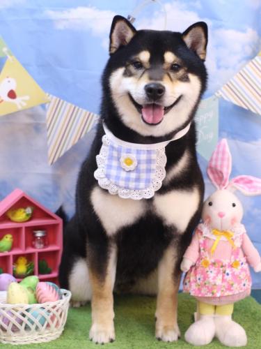 20240310ココくん